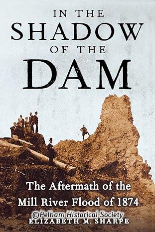 In The Shadow of the Dam - The Aftermath of the Mill River Flood of 1874