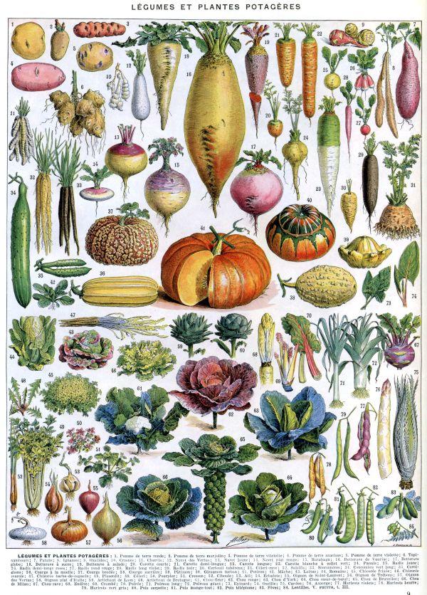 Annual meeting at 7 p.m. Followed by Presentation at 7:30 pm on New England Vegetables: 275 Years