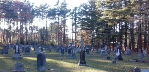 Visit to the North Valley and Cook - Johnson Cemeteries